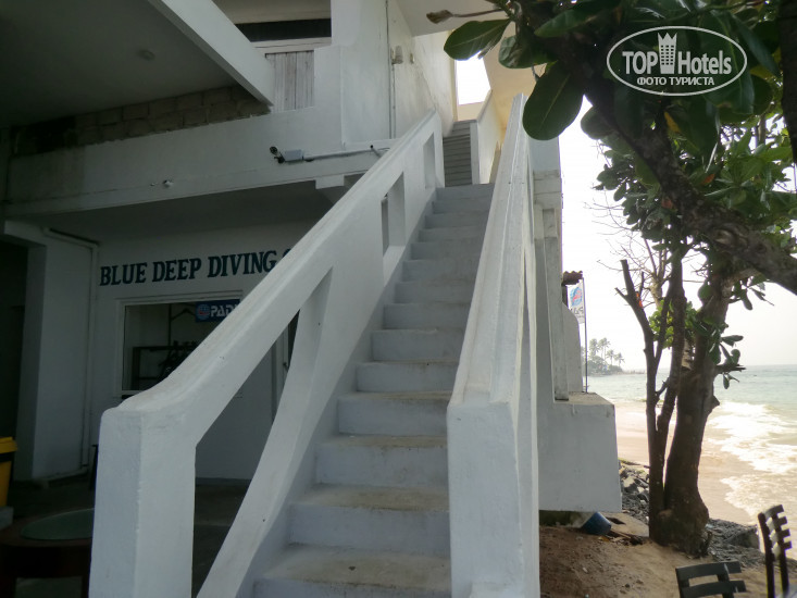 Hotel photo Mamas Coral Beach Hotel 1*