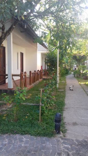 Photos White Lotus Resort