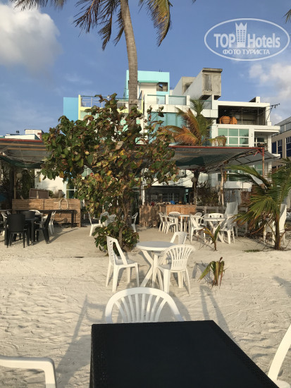 New photos from tourists The Aquzz Hotels