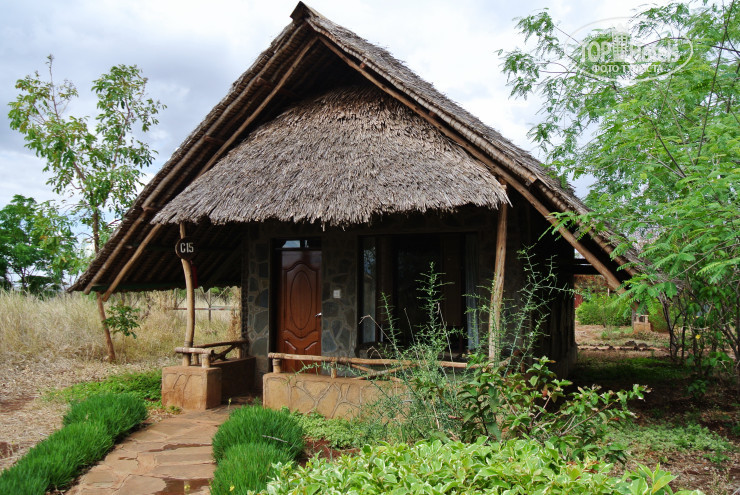 Hotelier's photos AA Lodge Amboseli 3*