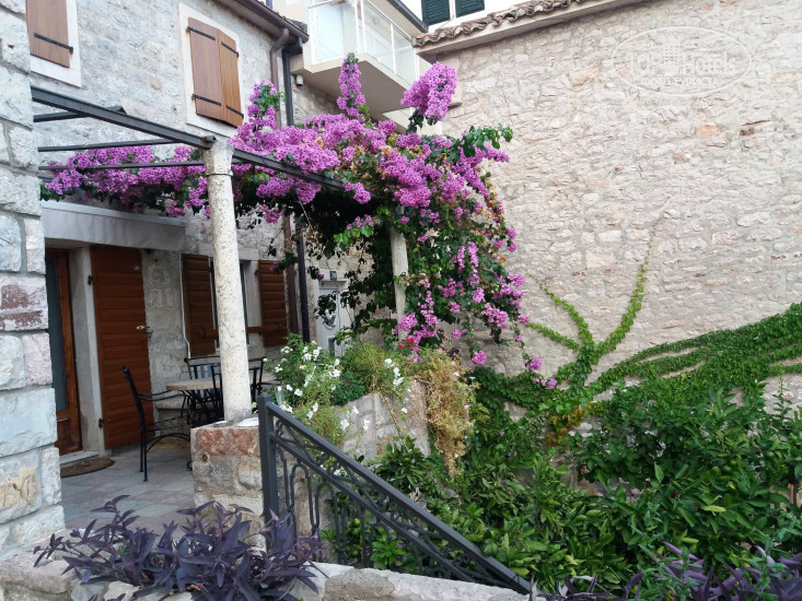 New photos from tourists Villa Nada 3*