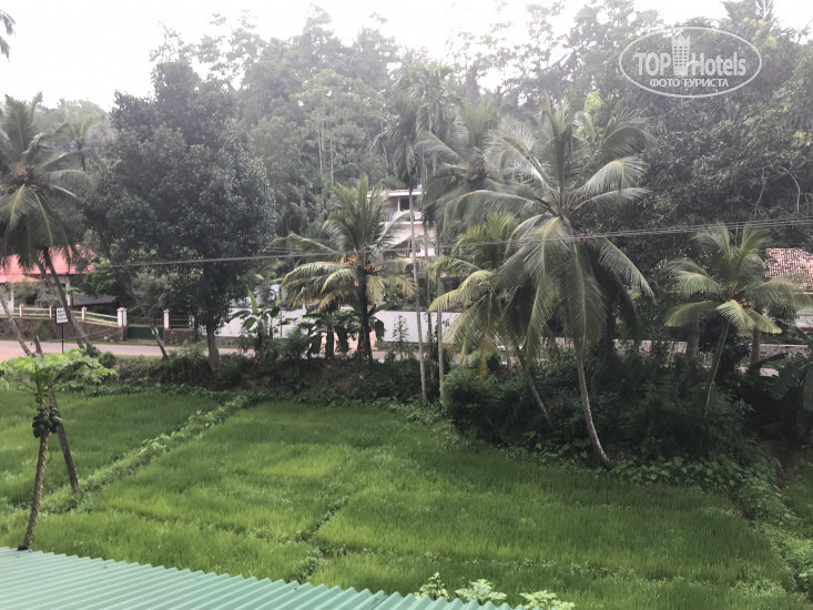 New photos from tourists Beach Groove Villas 4*