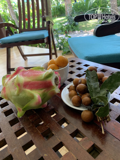 Фото Ravenala Boutique Resort