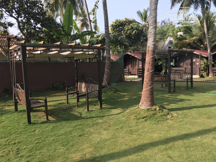 New photos from tourists MAP5 Village Resort