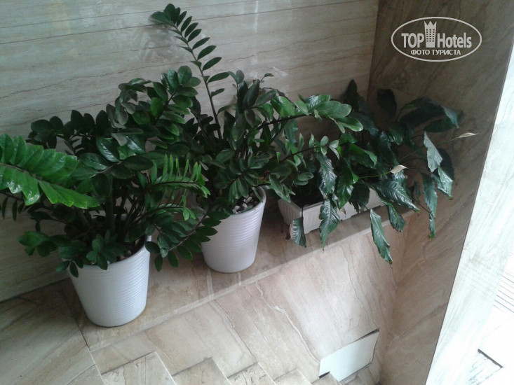 New photos from tourists Euro Star Hotel 3*
