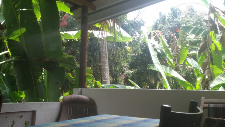 New photos from tourists Hansa Villa