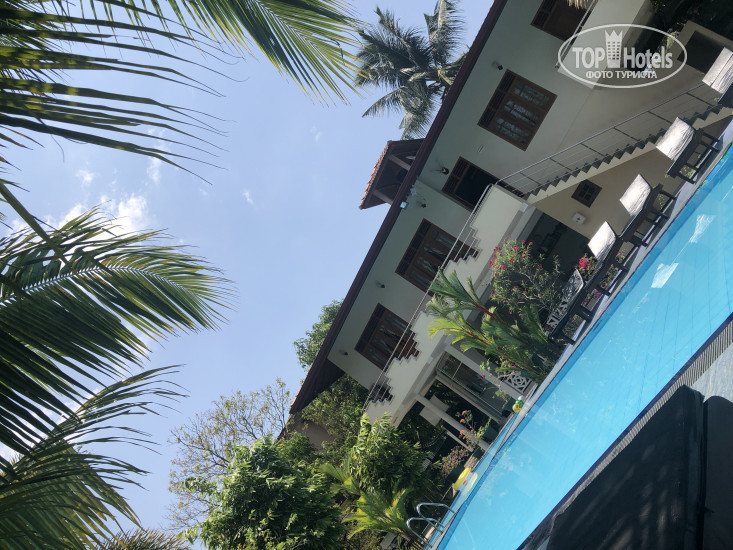 New photos from tourists The Lodge Unawatuna