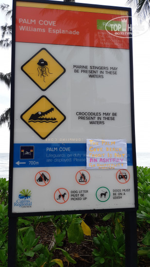 New photos from tourists Alamanda Palm Cove By Lancemore