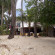 Фото The Rose Pike at Boracay