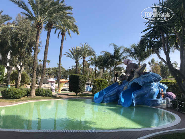 New photos from tourists Iberostar Waves Ciudad Blanca 4*