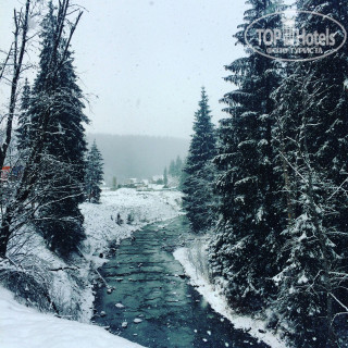 Photos Медвежий Двор