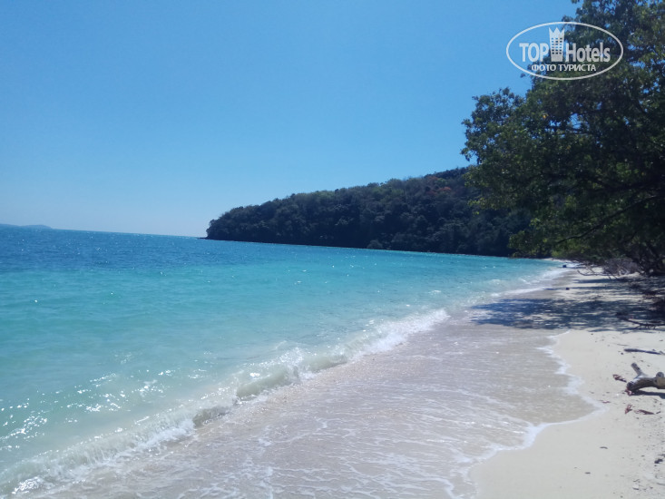 Photos The Cove