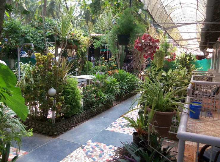 New photos from tourists Zappia Cove Guest House 2*