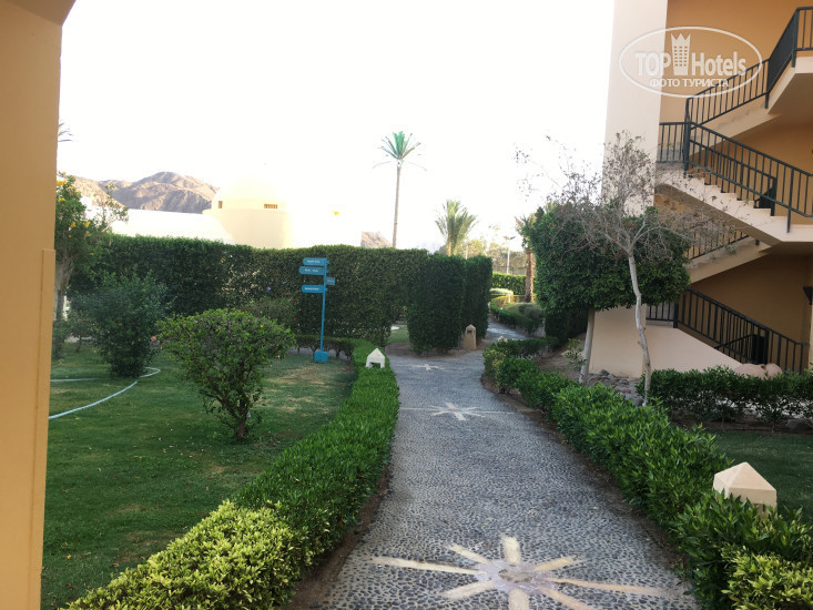 New photos from tourists Mosaique Beach Resort Taba Heights 5*