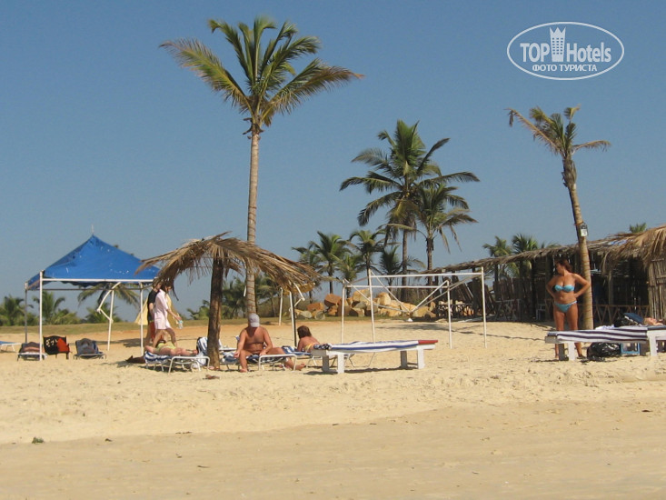Фото Beach