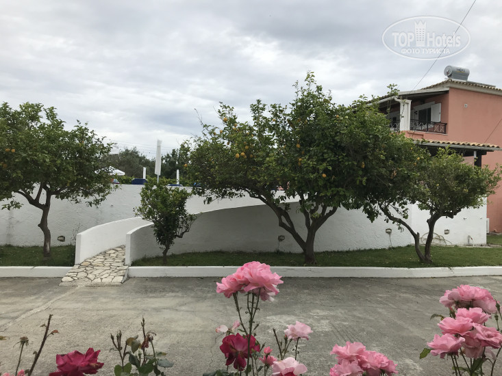New photos from tourists Ccb Bruskos Hotel 3*