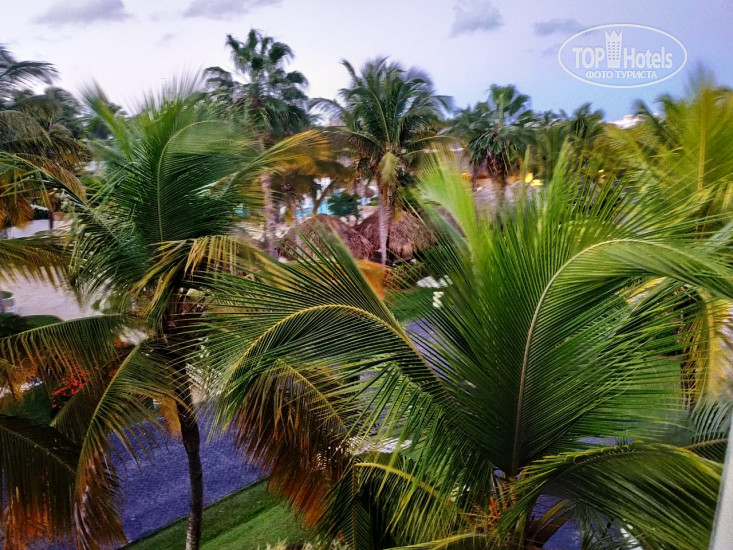 New photos from tourists The Level at Melia Caribe Beach 5*