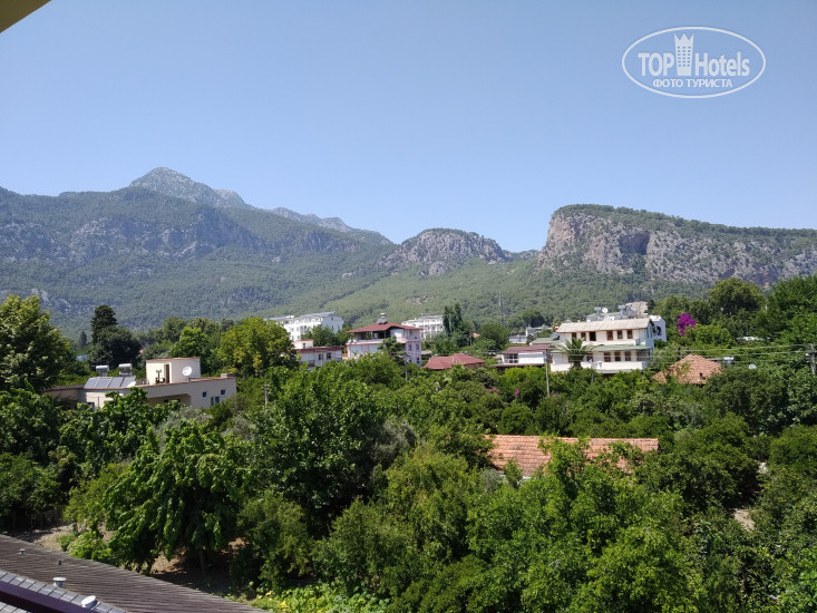 New photos from tourists Begonya 3*