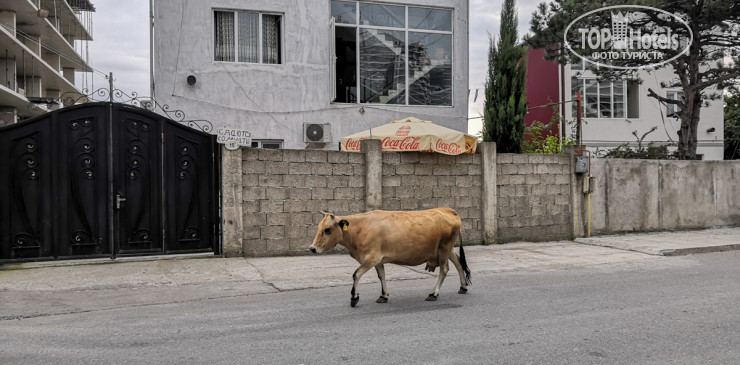New photos from tourists Dona s Guest House