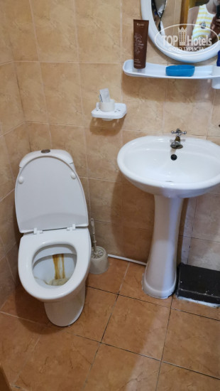 Hotel photo Lastochkino Gnezdo Pansionat 4*