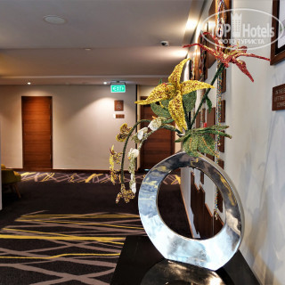 Фото Hilton Garden Inn Nairobi Airport