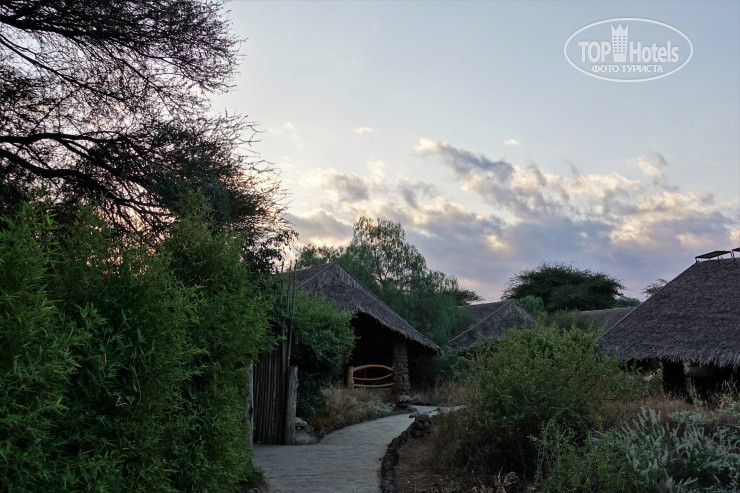 New photos from tourists Kibo Safari Camp 4*