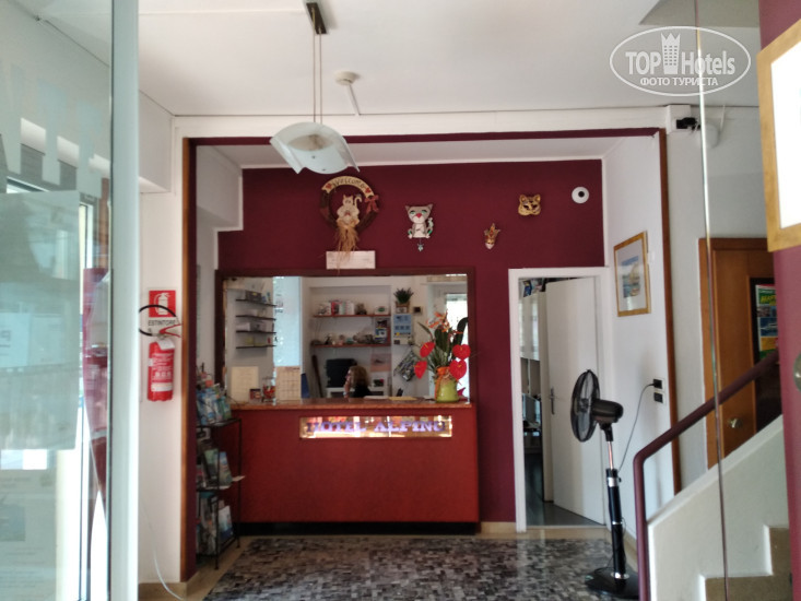 Hotelier's photos Alpino Hotel 2*
