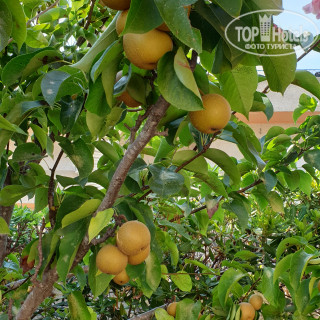 Photos I Tre Leoni B&B