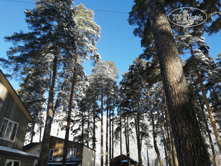 New photos from tourists Алания