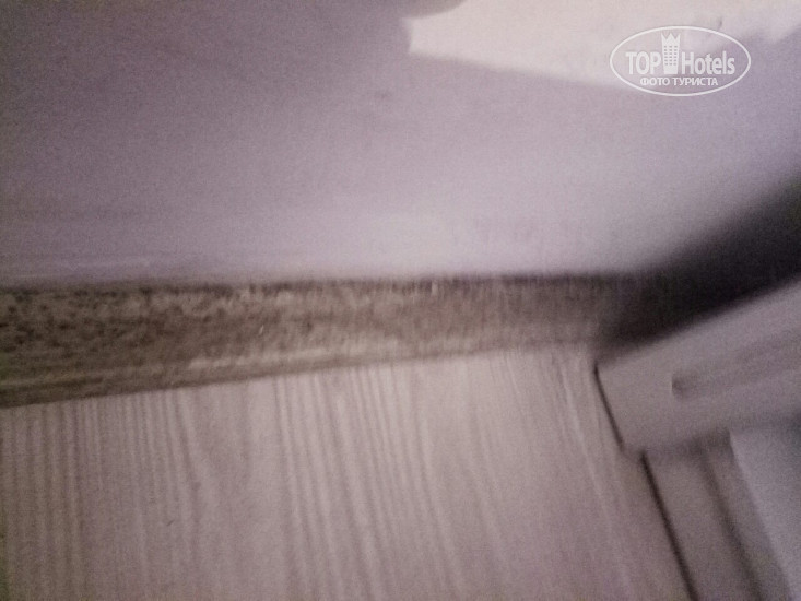 New photos from tourists Life Elite Hotel 3*