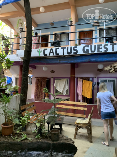 Hotelier's photos Cactus Guesthouse