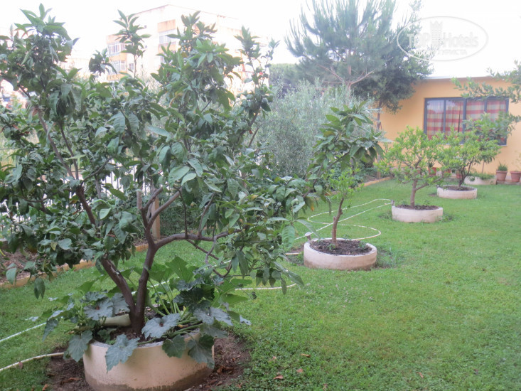New photos from tourists Apartments Durres 3*