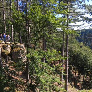 Фото Landhotel Alter Peter