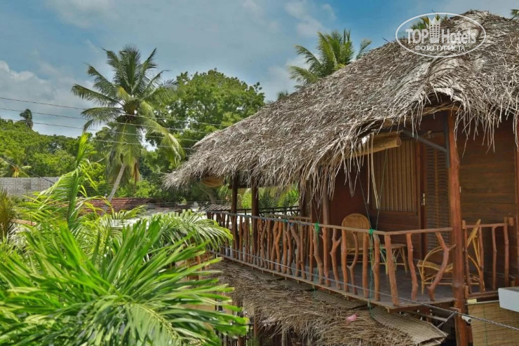 New photos from tourists Coco Palm Villa