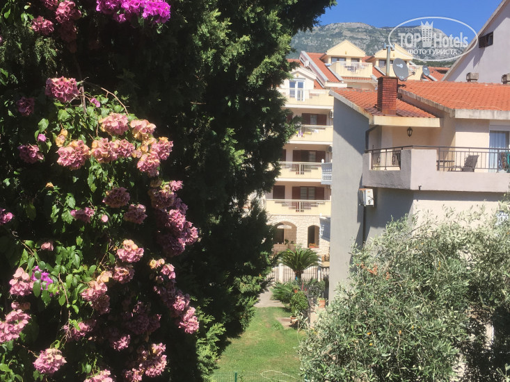 New photos from tourists Zoja Apartments 4*