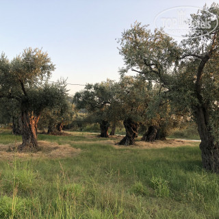 Photos Rachoni Imperial Hotel