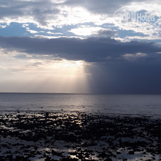 Фото Lanta Just Come