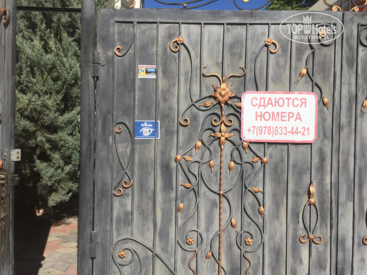 New photos from tourists Русалочка