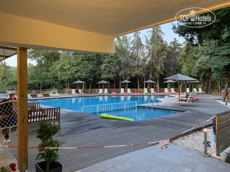 New photos from tourists Zoe Hotel 4*