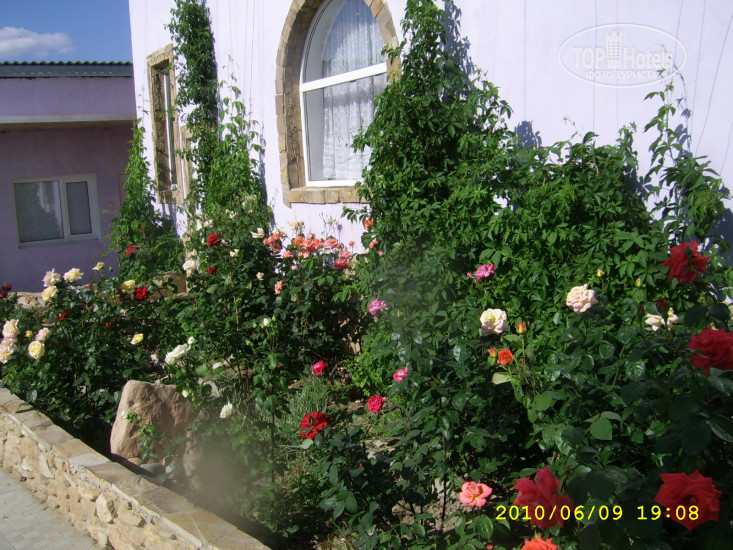 Hotelier's photos Ольга