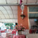 Photos Peonia Hotel 