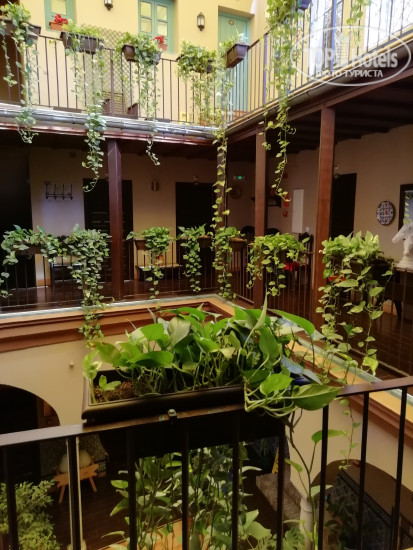 Hotelier's photos Patio De Las Cruces Hotel 1*