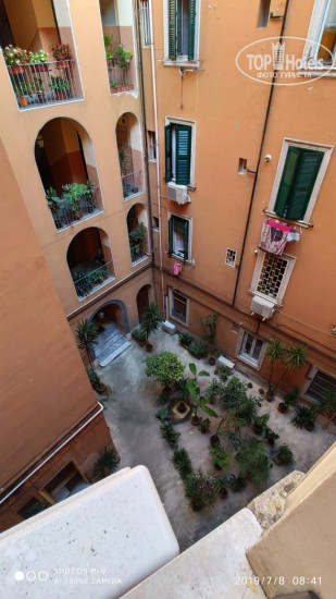 New photos from tourists Vatican St. Peter B&B
