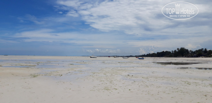 New photos from tourists Miramont Retreat Zanzibar