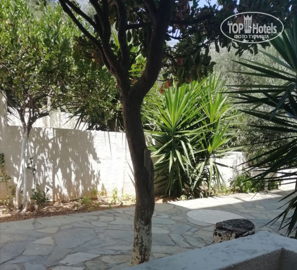 New photos from tourists Elia Hotel Apartments