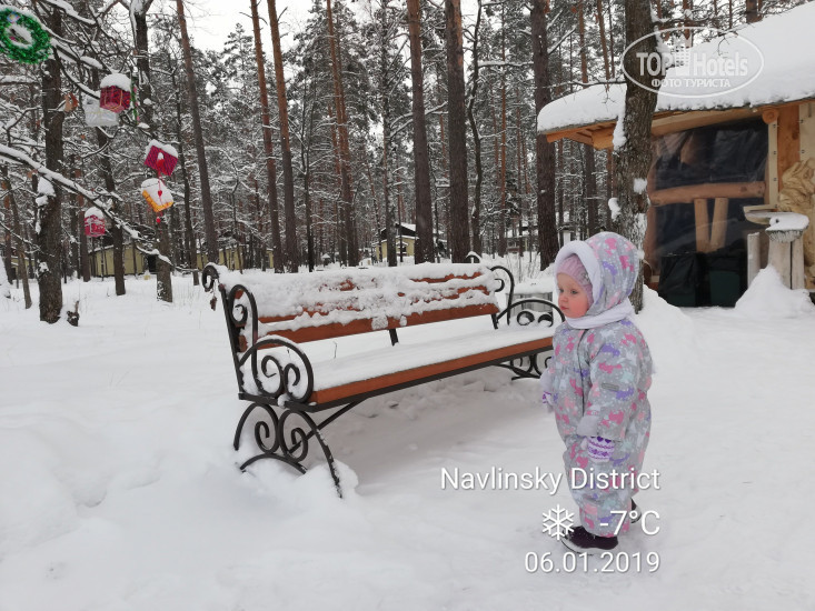 New photos from tourists Зеленый Бор
