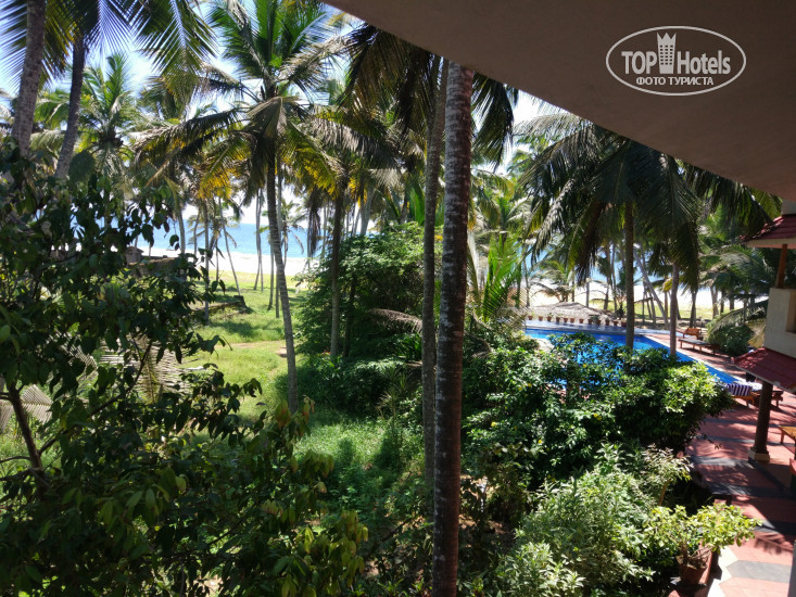 New photos from tourists Nilayam Ayurveda Beach Resort