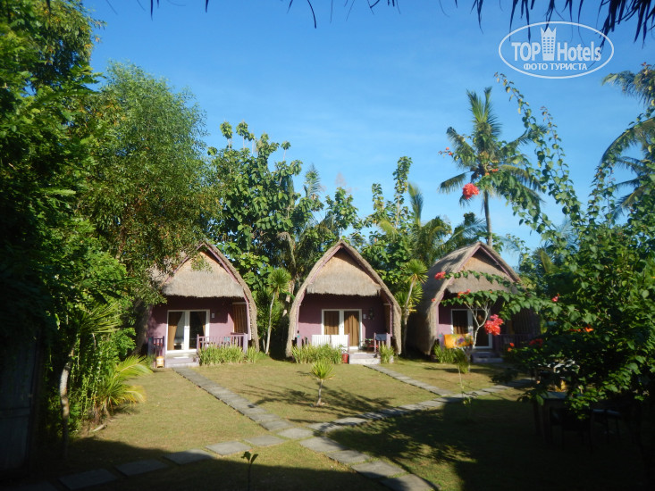 New photos from tourists Namaste Bungalows 4*