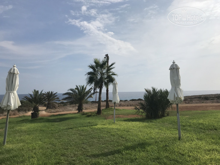 New photos from tourists Leonardo Crystal Cove Hotel & Spa 4*