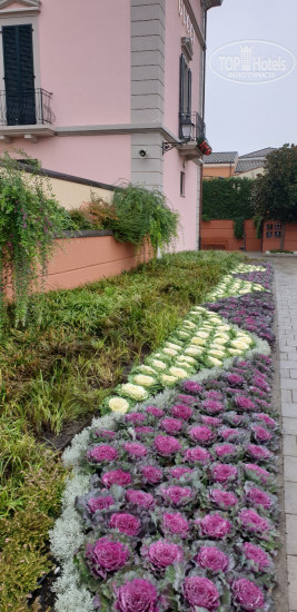 New photos from tourists Spadari Al Duomo Hotel 4*
